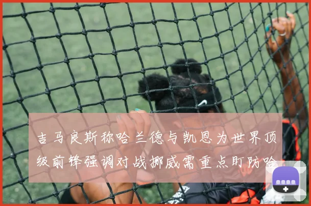 吉马良斯称哈兰德与凯恩为世界顶级前锋强调对战挪威需重点盯防哈兰德